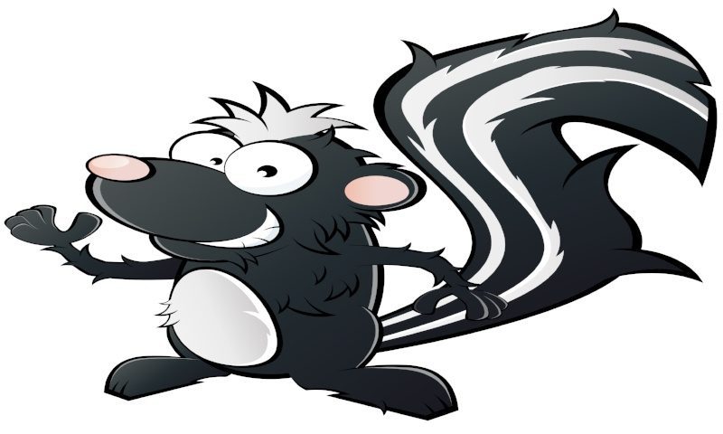 Live Safety and Stay Away from Skunks!